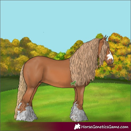 Horse Color:Chestnut 