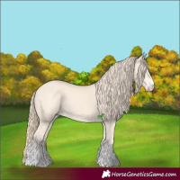 Horse Color:Perlino 