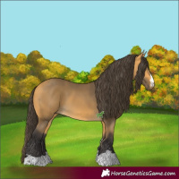 Horse Color:Buckskin 
