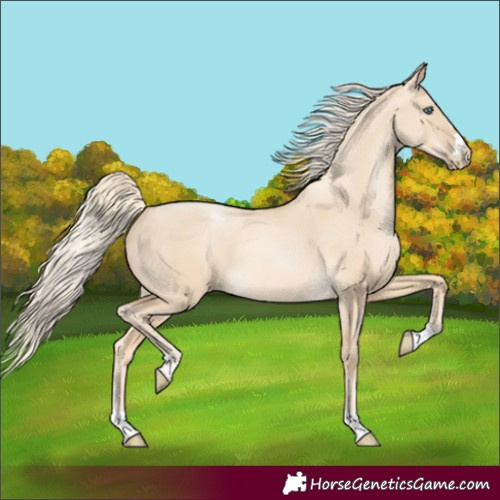 Horse Color:Palomino Pearl Dun Rabicano 