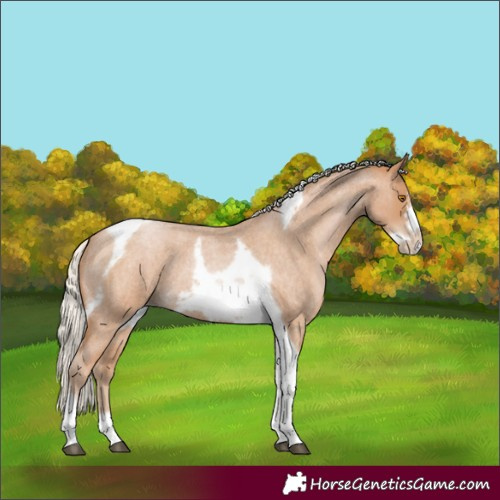 Horse Color:Silver Blue Roan Pearl Tobiano Frame