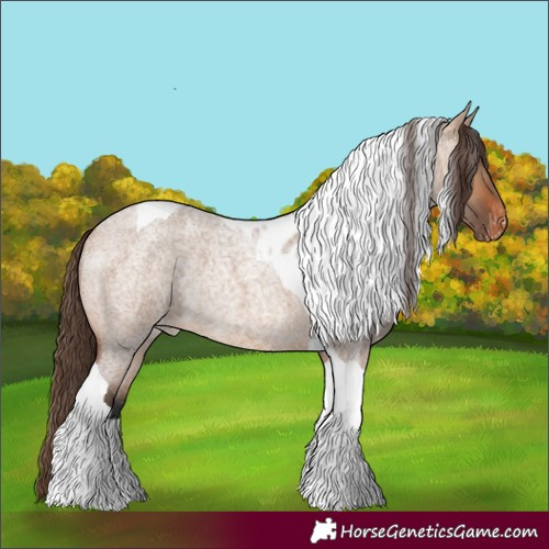 Horse Color:Bay Roan Dun Tobiano Skewed Appaloosa Rabicano 