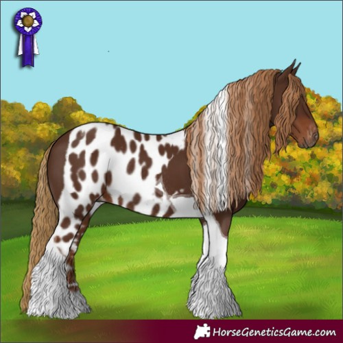 Horse Color:Gray Chestnut Tobiano Skewed LP Spotted Rabicano 