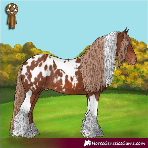 Horse Color:Chestnut Tobiano Appaloosa Rabicano