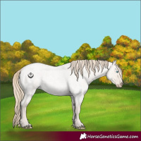 Horse Color:Smoky Creme Roan Dun