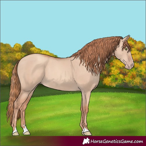 Horse Color:Gold Champagne Dun 