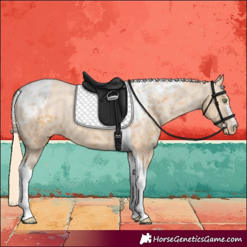 Horse Color:Gold Champagne Tobiano Skewed LP Spotted 