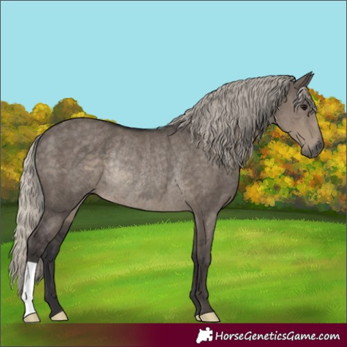Horse Color:Silver Smoky Grullo Rabicano 