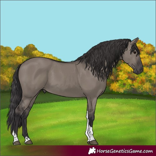 Horse Color:Smoky Grullo Tobiano 