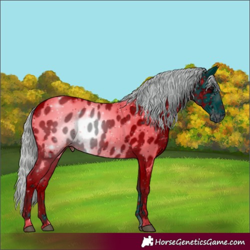 Horse Color:ERROR: UNKNOWN ANOMALY