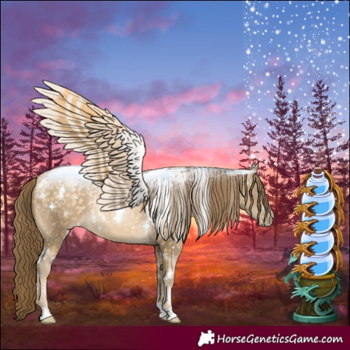 Horse Color:White Spotted Buckskin Pearl Rabicano