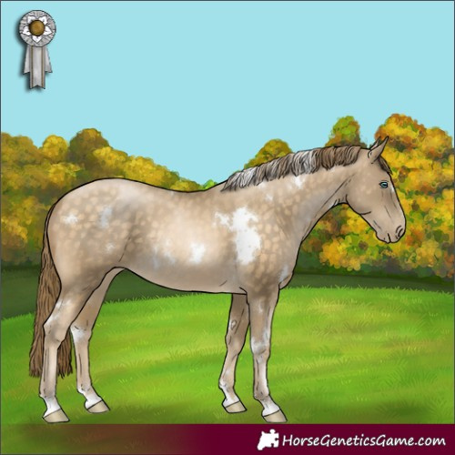 Horse Color:White Spotted Buckskin Pearl Rabicano 