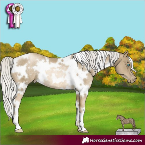 Horse Color:White Spotted Silver Smoky Black Pearl Rabicano 