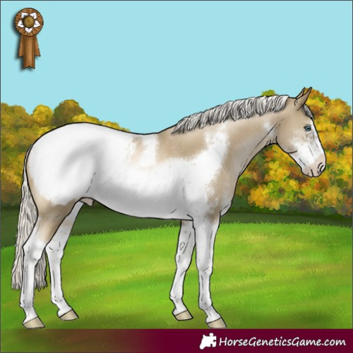 Horse Color:Silver Smoky Black Pearl Sabino Tobiano Frame Appaloosa Rabicano 