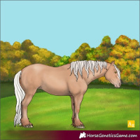 Horse Color:Silver Amber Champagne Frame 