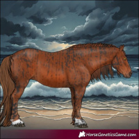 Horse Color:Bay  and Chestnut 