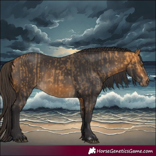 Horse Color:Buckskin and Buckskin