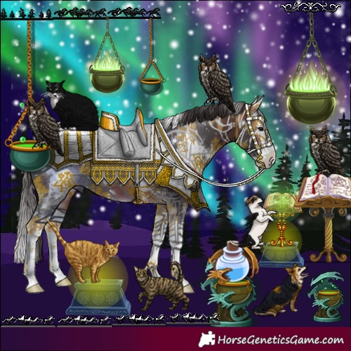 Horse Color:White Spotted Bay Sabino Splash