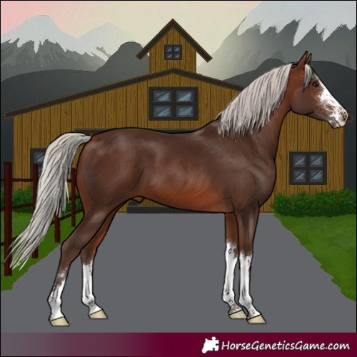 Horse Color:Silver Brown