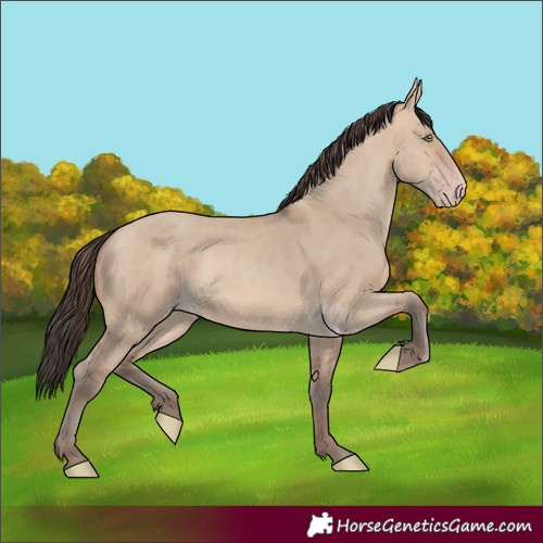 Horse Color:Sable Champagne Dun