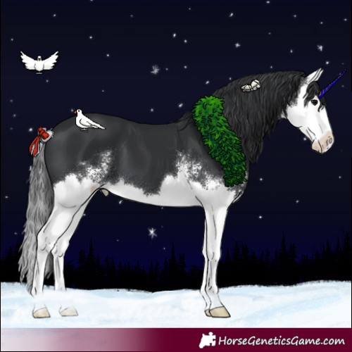 Horse Color:Black Sabino Splash 