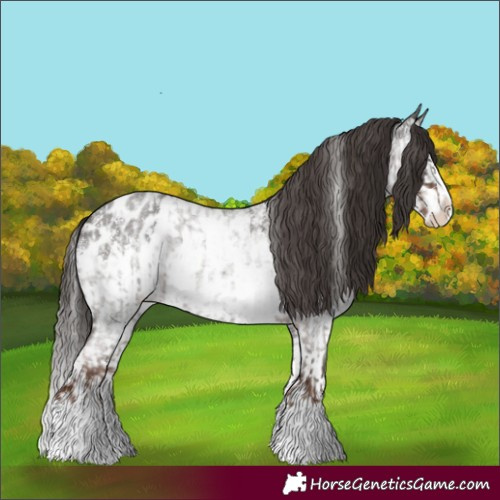 Horse Color:Liver Red Roan Sabino Splash Appaloosa  and Liver Red Roan Sabino Splash Appaloosa 