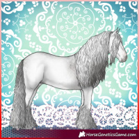 Horse Color:Gray White Spotted Bay Varnish