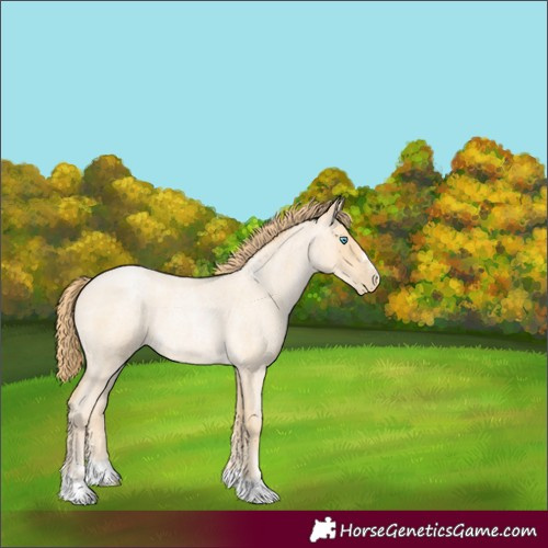 Horse Color:Buckskin Roan Pearl 