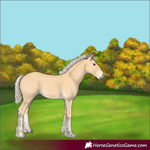 Horse Color:Palomino 