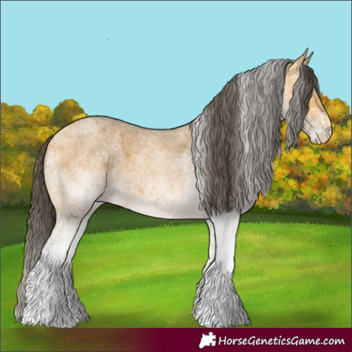 Horse Color:White Spotted Buckskin Roan 