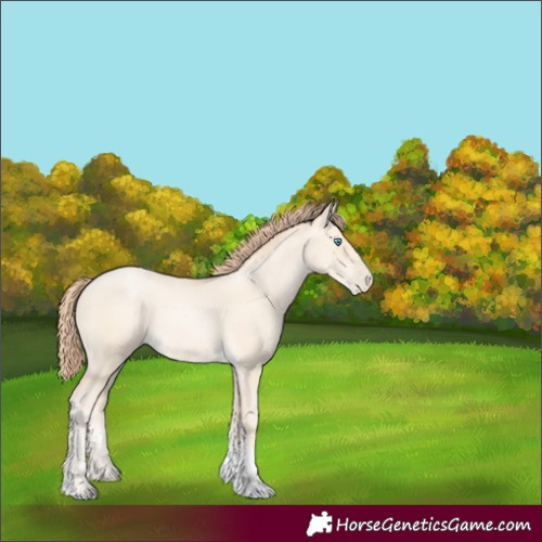 Horse Color:Classic Cream Champagne Pearl Tobiano 