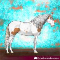 Horse Color:Chestnut Splash Tobiano 