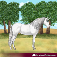 Horse Color:Perlino Tobiano 