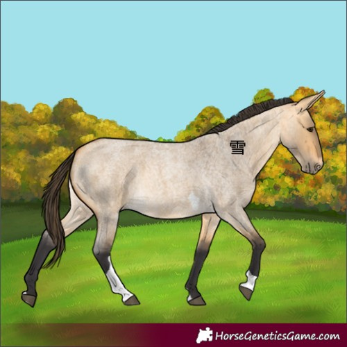 Horse Color:Buckskin Roan Dun Tobiano 