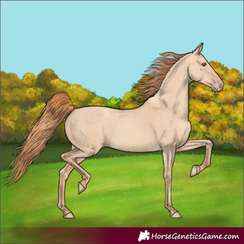 Horse Color:Gold Champagne Dun