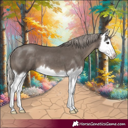 Horse Color:Silver Black Splash 