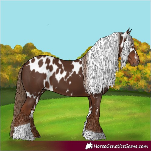 Horse Color:Gray Chestnut Tobiano Skewed LP Spotted