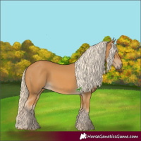 Horse Color:Palomino