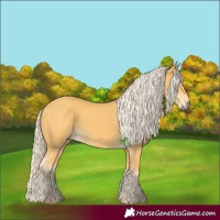 Horse Color:Palomino 