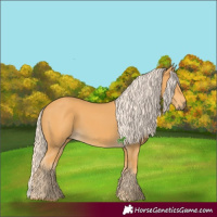 Horse Color:Palomino