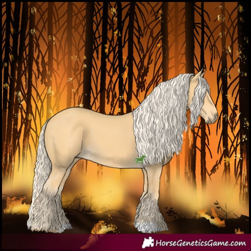 Horse Color:Palomino 