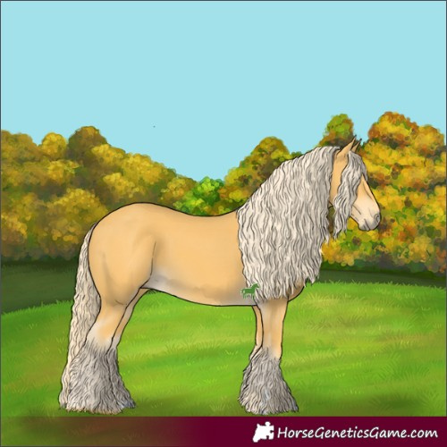 Horse Color:Palomino