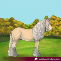 Horse Color:Palomino 