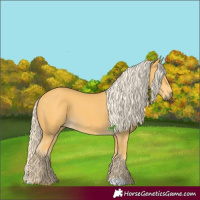 Horse Color:Palomino 