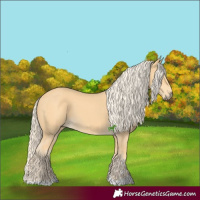 Horse Color:Palomino