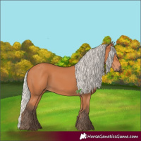 Horse Color:Silver Bay