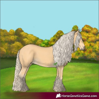 Horse Color:Palomino 