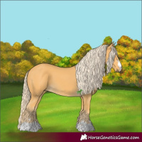 Horse Color:Palomino