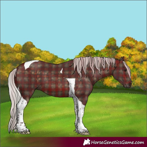 Horse Color:Plaid Silver Brown Tobiano