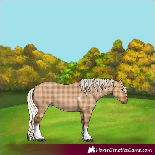 Horse Color:Plaid Silver Bay Dun Tobiano
